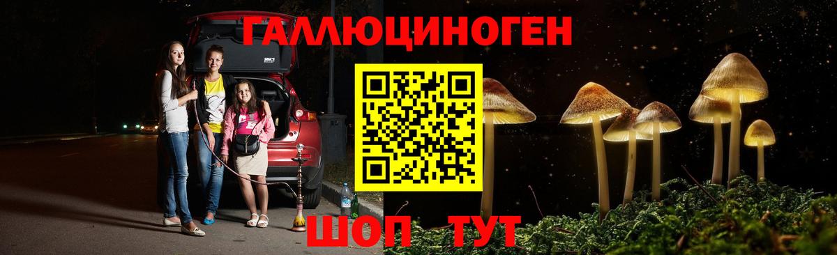 Тулун  Галлюциногенные грибы мицелий  Вход с VPN  Галлюциногенные грибы Psilocybine cubensis 